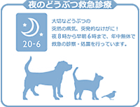 夜のどうぶつ救急診療 TRVA夜間救急動物医療センター